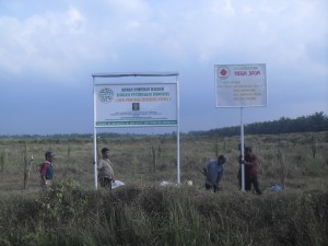 Kawasan lahan 120 ha milik rakyat yang dikuasai PT PN II akan diminta petani untuk lahan peternakan bersama Aspeter (Foto:sembada/dok)