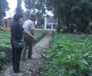 Wartawan Media Pertanian online Rorita di Kebun Pengembangan Kedelai Balitkabi (Foto:sembada/henry)