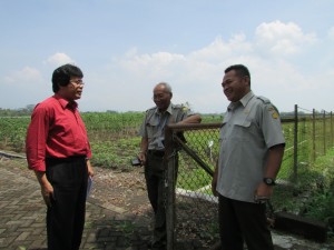 Pemulia ubi kayu Joko Restujuono (kanan)-Sudaryono (tengah) dan Wartawan Media Pertanian Henry Supardi (Foto:sembada/rori)