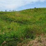 Hamparan areal padi gogo di Kec.Tegal Wuleud (Foto:sembada/rori)