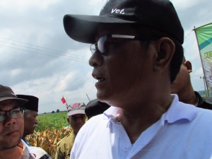 Dirjen Peternakan dan Kesehatan Hewan Drh I Ketut Diarmita (Foto:sembada/rori)