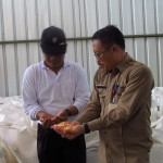 Kepala Dinas Pertanian Prov.Banten Ir Agus M.Tauchid (kanan) tunjukkan jagung dengan rendemen atau kadar air 14 persen kepada Dirjen Peternakan Ketut Diarmita (Foto:sembada/rori)