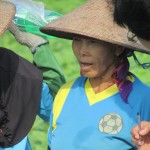 Nurmujayana bertutur sangat senang menanam kedelai terutama jika harga berpihak kepada petani (Foto:sembada/rori)