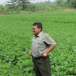 Kepala Subdit Kedelai Direktorat Aneka Kacang dan Umbian Dr Rahmat menikmati udara segar pedesaan (Foto:sembada/rori)