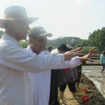 Dari kiri-Koordinator Upsus PJK Prov.Jabar Dr Ali Jamil, Kabag Perencanaan Ditjen Tanaman Pangan Ugi Sugiharto (Foto:sembada/rori)