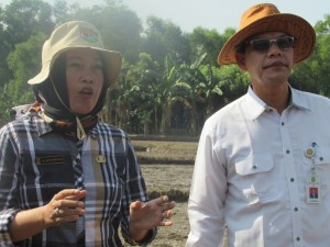 Mar Mariyah bersama Koordinator Upaya Khusus Padi Jagung Kedelai Kementerian Pertanian di Prov.Jawa Barat Dr Ir Ali Jamil (Foto:sembada/rori)