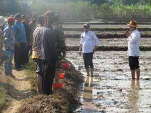 Ali Jamal (kanan) dan Ugi Sugiharto (dua kanan) sedang memaparkan pola tanam dengan TABELA kepada petani yang selama ini hanya bercocok tanam (Foto:sembada/rori)