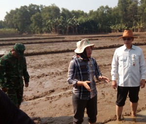 Kepala Desa Pasir Tanjung Mar Mariyah (tengah) mengajak para petani sungguh-sungguh belajar bertani dengan pola TABELA (Foto:sembada/rori)
