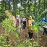 Puji Wisudya (tengah) di tengah sengatan panan menjelajahi lahan jagung yang kering kerontang (Foto:sembada/rori)