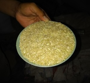 Inilah wujud atau bentuk beras sekali giling yang belum layak konsumsi dan memerlukan proses lanjutan (Foto:sembada/rori)