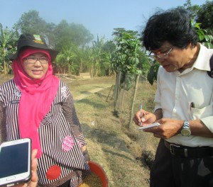PPL Desa Pasir Tanjung Endah Fitriyah,SP,MP berkata pola tanam TABELA akan terus disosialisasikan kepada petani lain (Foto:sembada/rori)