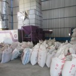 Puluhan ton gabah yang telah dikeringkan langsung diolah jadi beras dan dimasukkan dalam goni untuk dijual (Foto:sembada/rori)