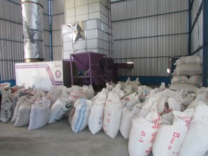 Puluhan ton gabah yang telah dikeringkan langsung diolah jadi beras dan dimasukkan dalam goni untuk dijual (Foto:sembada/rori)