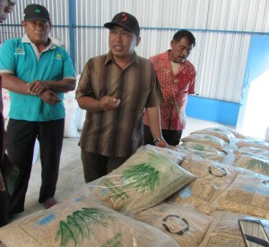 Didampingi PPL Kec. Gemolong Suyono (kanan) Harjanto menjelaskan bahwa Gapoktan Ayem Tentrem juga sudah berhasil membudidayakan benih unggul untuk kebutuhan petani di sekitar Sumber Lawang dan daerah lain (Foto:sembada/rori)