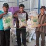 Benih padi unggul varietas IPB-3 yang dikembangkan oleh Institut Pertanian Bogor (IPB) Bogor dikemas dalam ukuran 5 kg sudah bersertifikat izin edar layak tanam (Foto:sembada/rori)