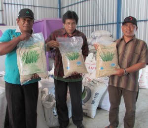 Benih padi unggul varietas IPB-3 yang dikembangkan oleh Institut Pertanian Bogor (IPB) Bogor dikemas dalam ukuran 5 kg sudah bersertifikat izin edar layak tanam (Foto:sembada/rori)