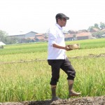 Ugi Sugiharto membawa sebakul kecil benih untuk dia tanami sendiri dengan petani di Desa Warga Mekar, Kecamatan Bale Endah, Kab.Bandung, Jabar (Foto:sembada/rori)