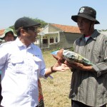 Ugi Sugiharto serahkan bantuan benih kepada petani anggota kelompok tani (Foto:sembada/rori)