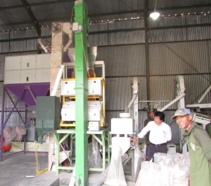 Mesin poles beras selah penggilingan pertama sehingga beras menjadi putih dan layak konsumsi serta layak jual (Foto:sembada/rori)