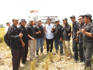 Maman Suherman (tengah) bersama para petugas pengendali organisme pengganggu tanaman atau POPT Kab.Cirebon di tengah sawah yang dipanen di Desa Jatianom (Foto:sembada/rori)