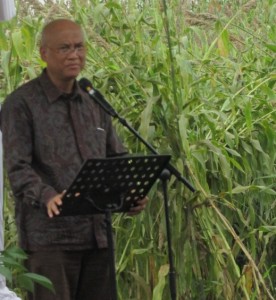 Dirut PT Paya Pinang Ir Kacuk Sumarto mengungkapkan pihaknya telah berkomitmen terus integrasikan sorgum dengan sawit (Foto:sembada/rori)
