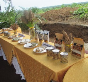Beragam makanan olahan dari tepung sorgum, seperti kue, roti berbagai bentuk dan rasa serta bubur siap dinikmati pengunjung (Foto:sembada/rori)