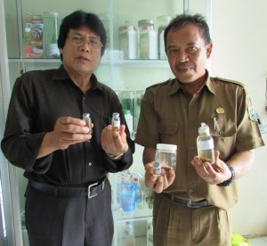 Wartawan Media Pertanian online www.sembadapangan.com Henry Supardi (kiri) dan Iwan Purnama mencermati dan menunjukkan ulat grayak OPTK setelah diteliti di laboratorium (Foto:sembada/rori)