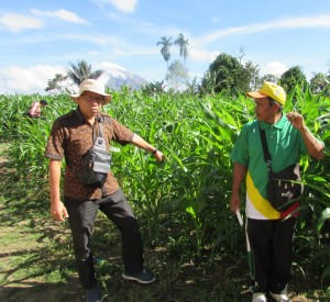 Koordinator POPT-PHP Kab.Karo Rusli,SP (kiri) dan  petani anggota Kelompok Tani Jumah Bertah, Bangsawan Siregar di Desa Bulung Naman, Kec.Munte (Foto:sembada/rori)