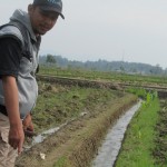 Koordinator Penyuluh Kec.Bojong Picung Mulyana,SP menunjukkan saluran air yang telah dibersihkan dari rerumputan dan sedimen lumpur (Foto:sembada/rori)