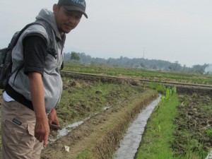 Koordinator Penyuluh Kec.Bojong Picung Mulyana,SP menunjukkan saluran air yang telah dibersihkan dari rerumputan dan sedimen lumpur (Foto:sembada/rori)