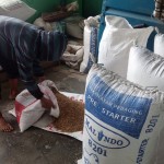 Mang Ciluk (36) sedang menyatukan gabah dari karung kecil ke goni berukuran kuintalan untuk dibawa ke pabrik (Foto:sembada/rori)