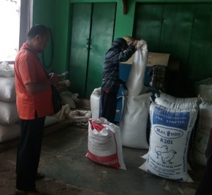 Staf Dinas Pertanian Kab.Cianjur Deni Sanjaya (kanan) mencoba menghitung keuntungan petani dengan harga 4.300 rupiah per kg saat panen raya yang lalu (Foto:sembada/rori)