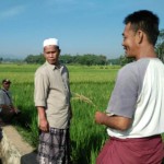 Petani diedukasi tentang bahaya hama melibatkan petani Ust.Aceng Lukman dan Ujang (kanan) (Foto:sembada/rori)