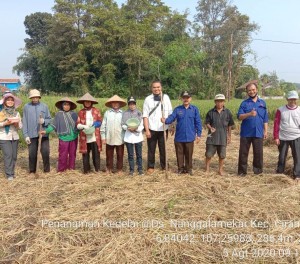 Para petani bersama PPL Rina Suartini,SP (kiri), Wartini,SP,MP (tengah topi hitam), Asep Wahidin,SP (tengah baju biru) dan Jana Sujana,SP (kanan baju biru) serta Irfan Handriyadi,SP,MP (tengah kemeja putih) (Foto:sembada/rori)