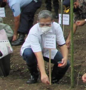 Setelah tanah ditugal, Direktur Pangan dan Pertanian, Bappenas Dr Anang Nugroho menanam banih jagung (Foto:sembada/rori)