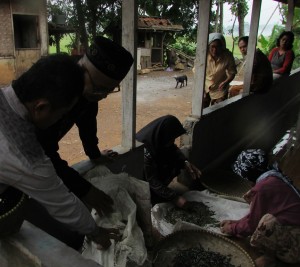 Ketua Kelompok Tani Carita Machfudin (kiri) tunjukkan kacang hijau dalam beberapa goni yang dipanen setiap hari (Foto:sembada/rori)