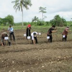 Tugal tanah untuk benih oleh Hamid Sangaji (kiri), Ugi Sugiharto (dua kiri), Pawana (dua kanan) dan Tri Susilarjo (Foto:sembada/rori)