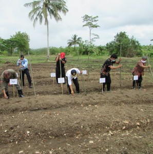 Tugal tanah untuk benih oleh Hamid Sangaji (kiri), Ugi Sugiharto (dua kiri), Pawana (dua kanan) dan Tri Susilarjo (Foto:sembada/rori)