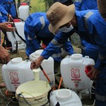 Racun yang telah dilarutkan ditakar sebanyak 250 mililiter untuk dicampur dengan air dalam tanki berisi 15 liter siap disemprotkan (Foto:sembada/rori)