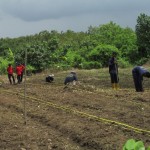 Warga binaan Lembaga Pemasyarakatan (Lapas) Terbuka Nusakambangan dilibatkan tanam benih jagung (Foto:sembada/rori