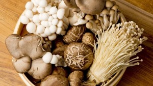Dengan mengkonsumsi jamur diyakini aman dan baik untuk pengidap sakit jantung (Foto:sembada/dms-unas)