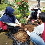 Para mahasiswa berupaya membuat pupuk organik untuk kebutuhan lingkungan desa dan sekolahan (Foto:sembada/unas)