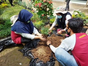 Para mahasiswa berupaya membuat pupuk organik untuk kebutuhan lingkungan desa dan sekolahan (Foto:sembada/unas)