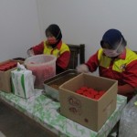 Para karyawati sedang  mengisi bahan-bahan ke dalam botol sesuai dengan varian rasa (Foto:sembada/rori)