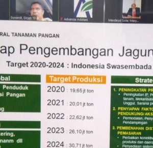 Dirjen Tanaman Pangan Dr Ir Suwandi menyebutkan Indonesia akan meraih swasembada jagung pada 2024 (Foto:sembada/rori)