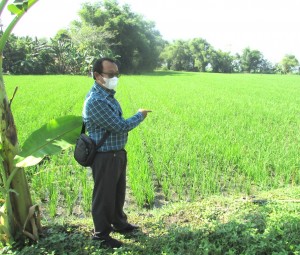Kasub Koordinator Penilaian Varietas, Direktorat Perbenihan Achmad,SP  menyebutkan program P3B tanaman pangan dimulai pada 2021 dan petani mau menerima (Foto:sembada/rori)