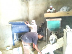 Para karyawan di penggilingan milik Kelompok Tani Raharja sedang sibuk mengolah gabah untuk memenuhi permintaan konsumen atas beras kelas premium (Foto:sembada/henry)
