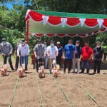 Melakukan penanaman jagung bersama petani dan Bupati Minahasa Selatan