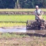 Petani sedang melakukan pengolahan lahan di Desa Cidamar, Kec.Cidaun (Foto:sembada/rori)