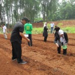 Sri Jaya Midan (kiri) bersama staf Direktorat Aneka Kacang dan Umbi-umbian, Ditjen Tanaman Pangan (kanan) menanam benih sorgum pada lubang yang telah ditugal (Foto:sembada/rori)